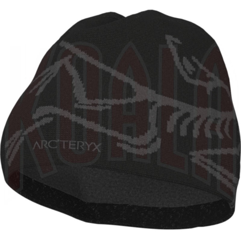 Gorro BIRD HEAD TOQUE Arc'teryx Gorro BIRD HEAD TOQUE Arc'teryx