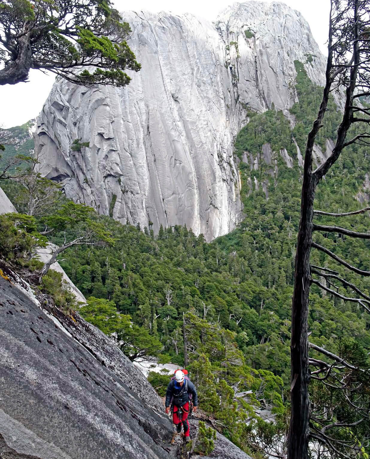 boreal_imagenes--Deportes-Koala-Madrid-Montaña-Trekking-Alpinismo-climbing