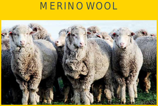 MERIWOOL Camisa térmica de lana merino ligera de manga larga para mujer