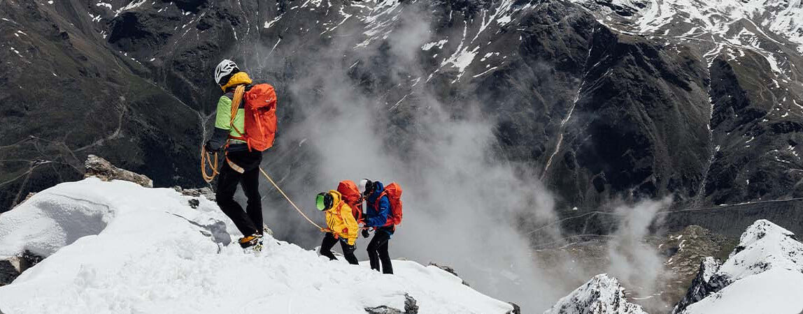 Bota de montaña / alpinismo ORTLES ASCENT MID Gore-Tex® Salewa